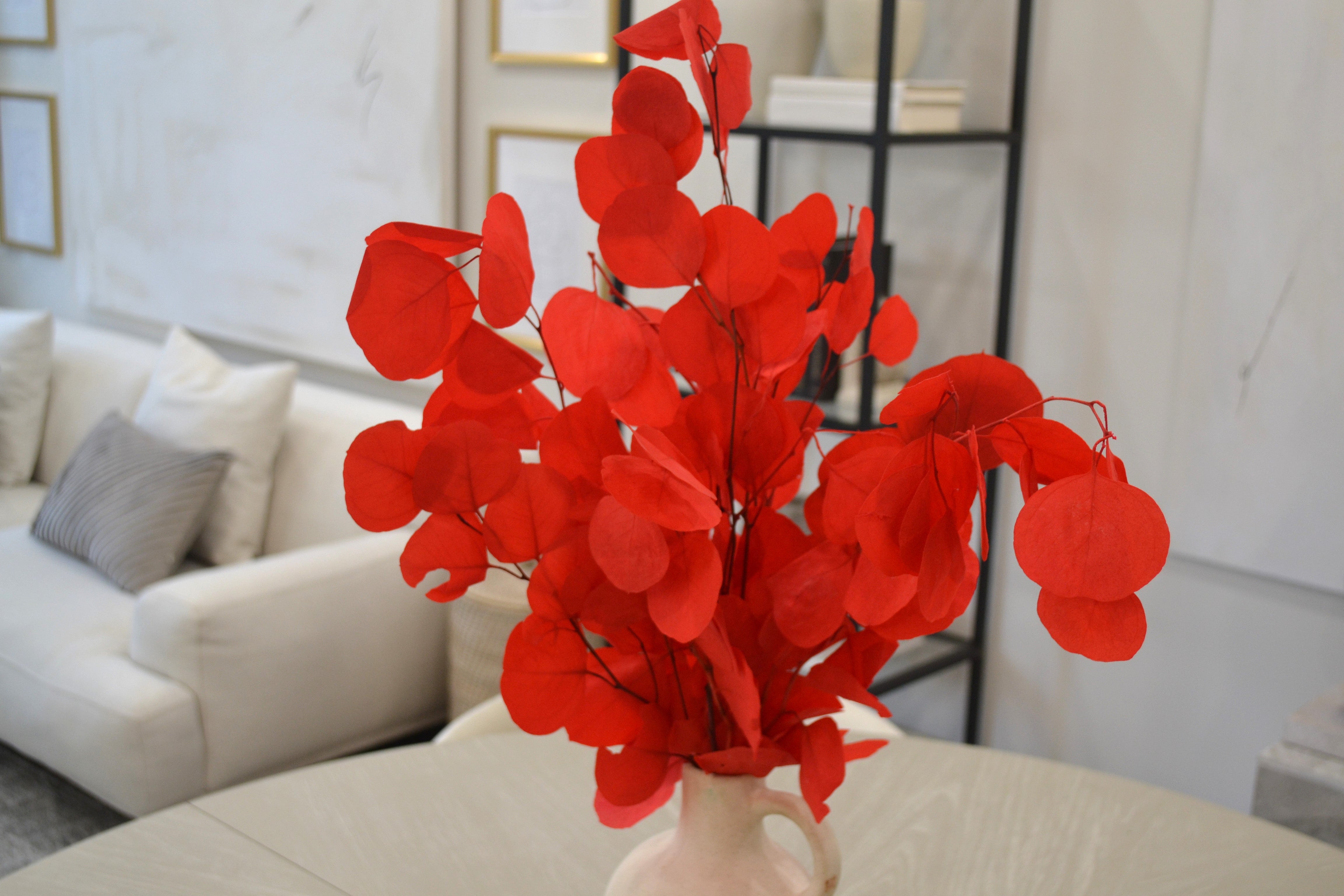 Silver Dollar Eucalyptus